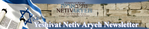 YNA Newsletter